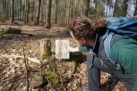 Ein Bild eines jungen Menschen im Wald. Er hält eine Karte gegen einen alten Baumstumpf um die Himmelsrichtung zu bestimmen. Die Sonne scheint durch den Wald.