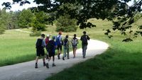 Gruppe von sieben Personen mit Rucksäcken wandert auf einem geschwungenen Weg durch eine grüne Landschaft.