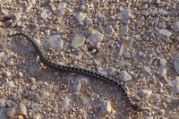 Trekkingtour Bosnien 2024