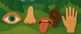 Ein gezeichnetes Bild eines Auges, einer Nase, eines Mundes, eines Ohres und einer Hand. Das Bild soll 5 Sinne des Menschen darstellen.