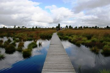 Holzsteg führt durch eine Moorlandschaft mit Wasserflächen und grünen Pflanzen, unter einem bewölkten Himmel.