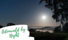 Teaserbild Odenwald Panorama