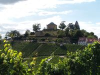 Weinberg mit Reben im Vordergrund und einem Hügel mit einem historischen Rundbau und Bäumen im Hintergrund.