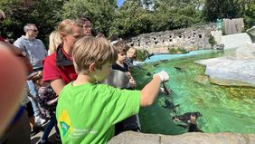 Jugendlicher der DWJ beim Pinguinfuettern