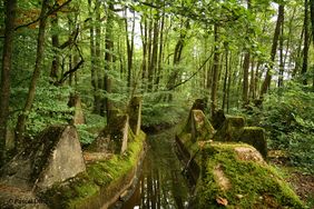Moosbedeckte Betonreste entlang eines schmalen Wasserkanals im Wald mit dichtem grünen Laub.