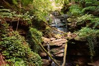Wald mit dichtem Grün, Felsen und mehreren kleinen Wasserfällen, die über moosbedeckte Steine fließen.